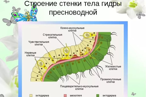 Как восстановить аккаунт на кракене даркнет