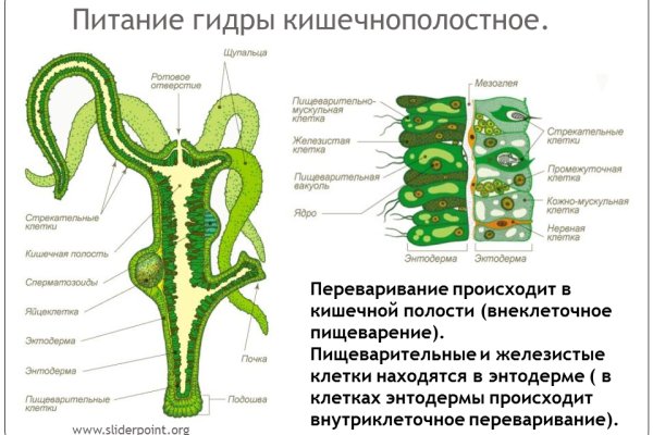 Маркет кракен маркетплейс